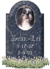 Sean-Lei