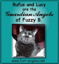 Sponsor an animal through Furr Angels.com
