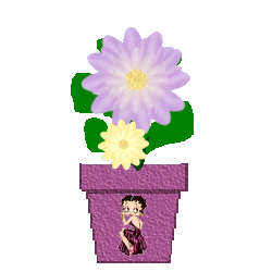The Site Fights Spirit Flowers