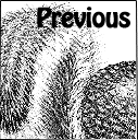 prev4.gif (10901 bytes)