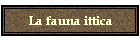 La fauna ittica