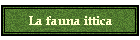 La fauna ittica