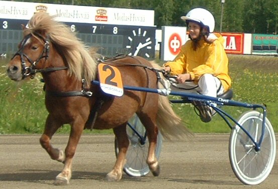  Cervus.se