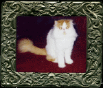 kovus101.gif (95922 bytes)
