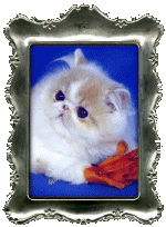 mufasa101.gif (116451 bytes)