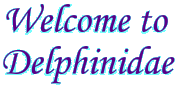 Delphindae = Dolphins