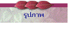 ٻҾ