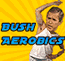 Bushiconsmall.gif (2638 bytes)