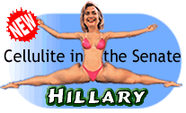 hillaryicon.gif (9695 bytes)