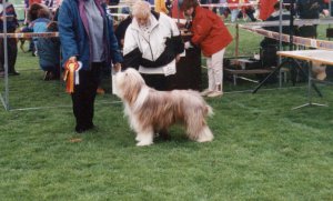 Belle BOB in Mikkeli
