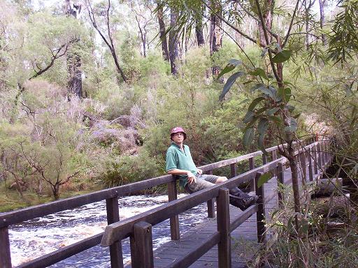Bridge over Gardiner River