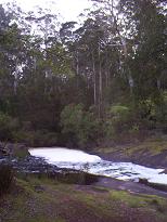 Shannon River at Dog Pool