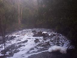 Franklin River at Sappers Bridge