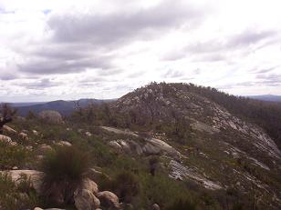 Looking North to the summit of Mt Cooke