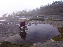A gnamms on Mt Cuthbert