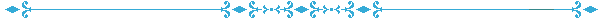 Batchelorette Divider