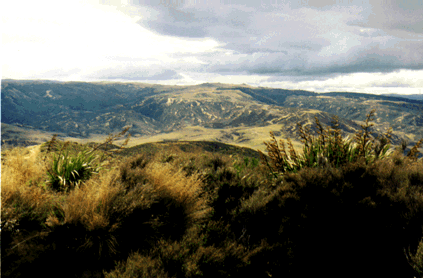 A view over the undulating planes of the Kaimanawa ranges