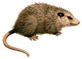 Click to go to the source of this photo