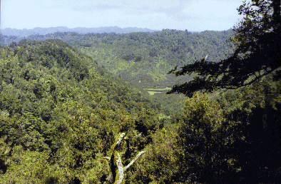 That green spot down there is where we started