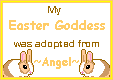 To
~Angel~