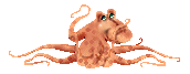 octapus