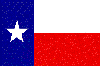 2texas.gif (2118 bytes)