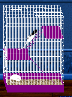 Rattery