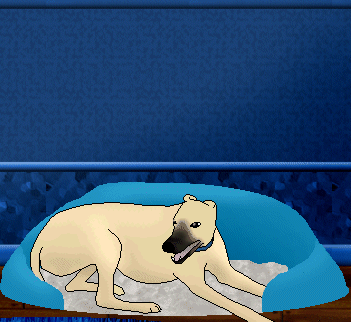 Greyhound Rescue