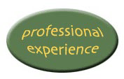 professional experience