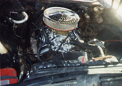 /user/MOTORPIC1.JPG