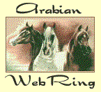 This site is another Oasis in the

Arabian Horse WebRing