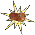 starbutton.gif (4211 bytes)