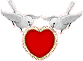 doves