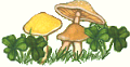 Mushrooms