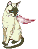 angelcatr