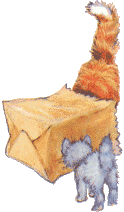2 cats in bag