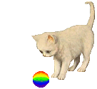kitty ball