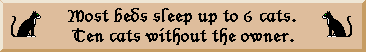 cats bed