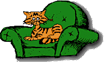cat in chair