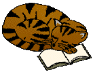 cat on book