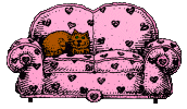 cat on couch