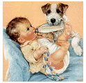 babysit