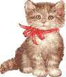 kitty