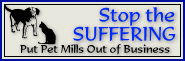 stopsuffer