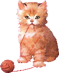 kitty yarn