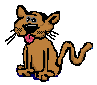 sillykitty