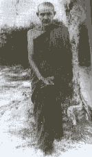 L-mon3.gif (6526 bytes)