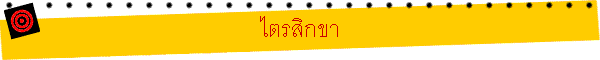 ԡ