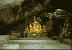 puka2.gif (3781 bytes)