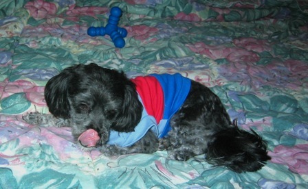 Sweets 2007-01-02
